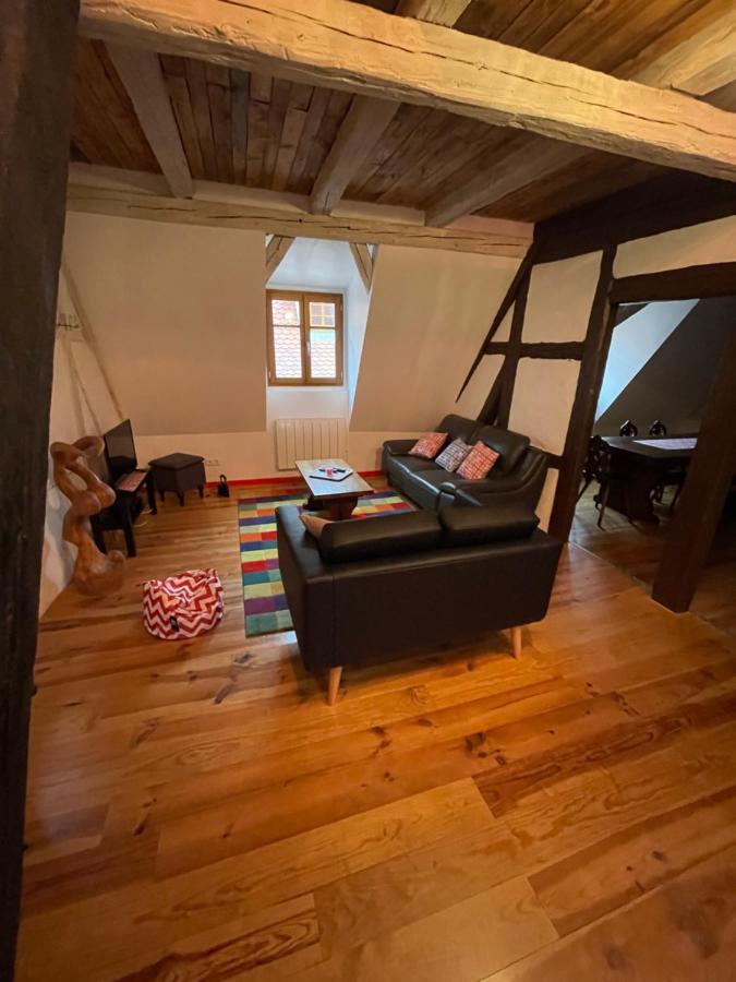 Les Epicuriens Du Rempart Apartment Eguisheim Bagian luar foto